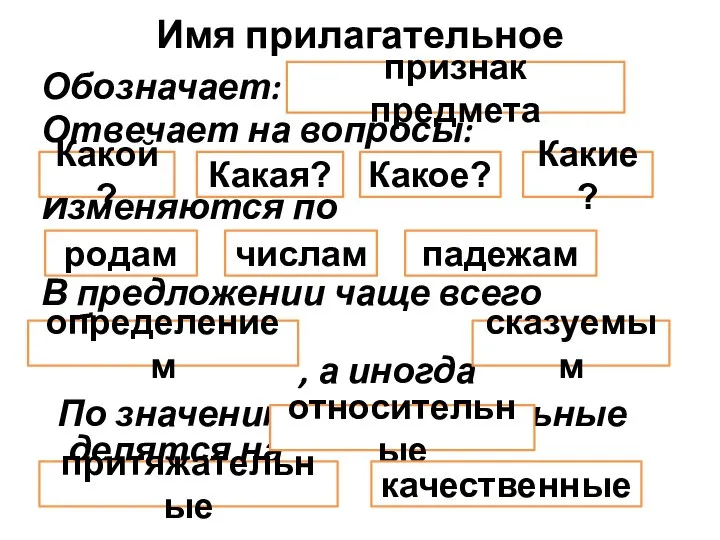 Имя прилагательное Обозначает: Отвечает на вопросы: Изменяются по В предложении чаще