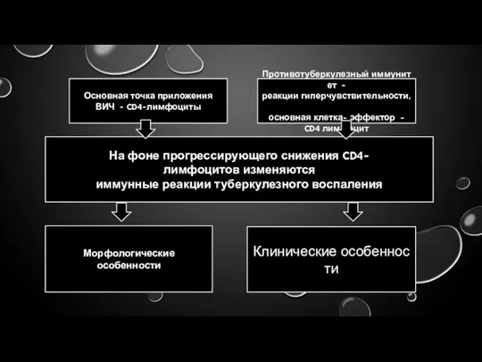 Основная точка приложения ВИЧ ‐ CD4‐лимфоциты Противотуберкулезный иммунитет ‐ реакции гиперчувствительности,