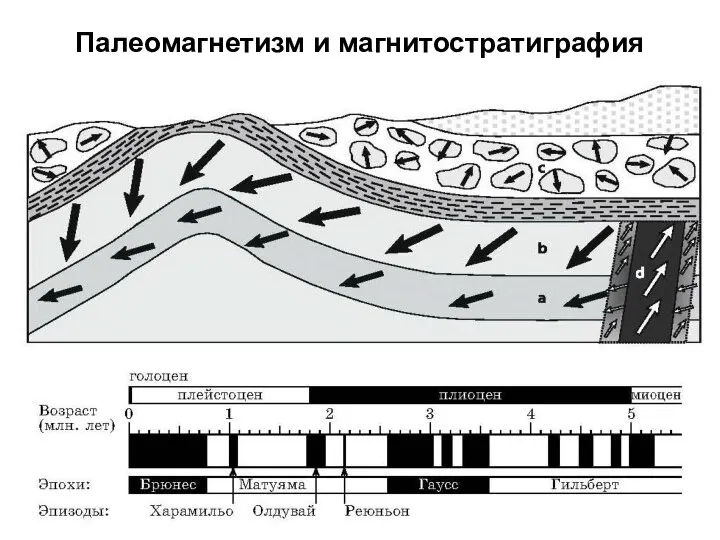 Палеомагнетизм и магнитостратиграфия