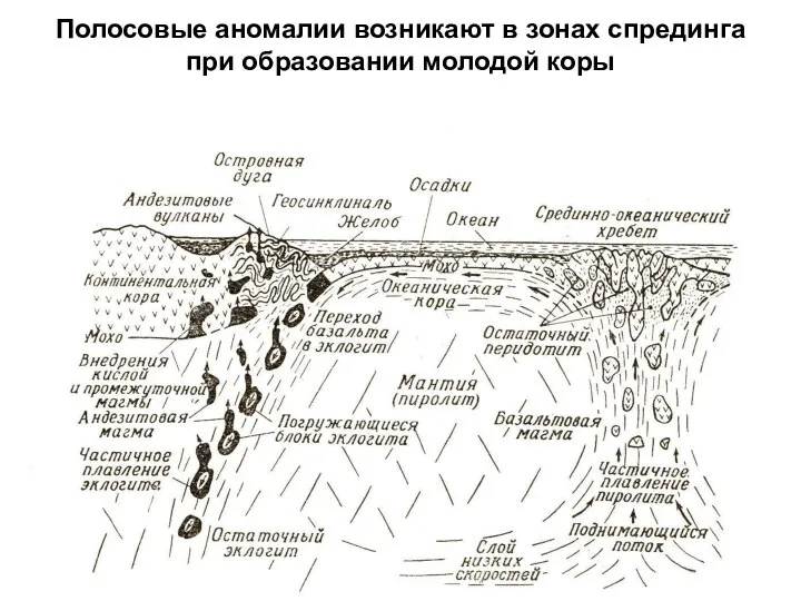 Полосовые аномалии возникают в зонах спрединга при образовании молодой коры