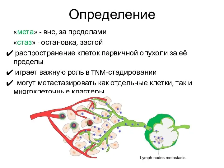 Определение «мета» - вне, за пределами «стаз» - остановка, застой распространение