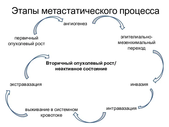 Этапы метастатического процесса первичный опухолевый рост ангиогенез эпителиально-мезенхимальный переход инвазия интравазация