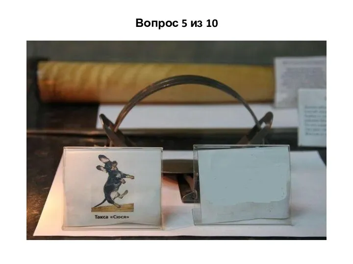 Вопрос 5 из 10