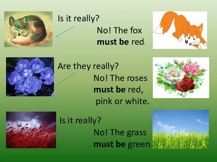 Is it really? No! The fox must be red. Are they