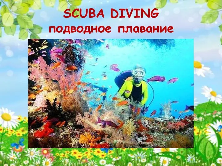 SCUBA DIVING подводное плавание