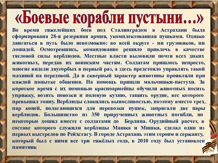 «Боевые корабли пустыни…» Во время тяжелейших боев под Сталинградом в Астрахани