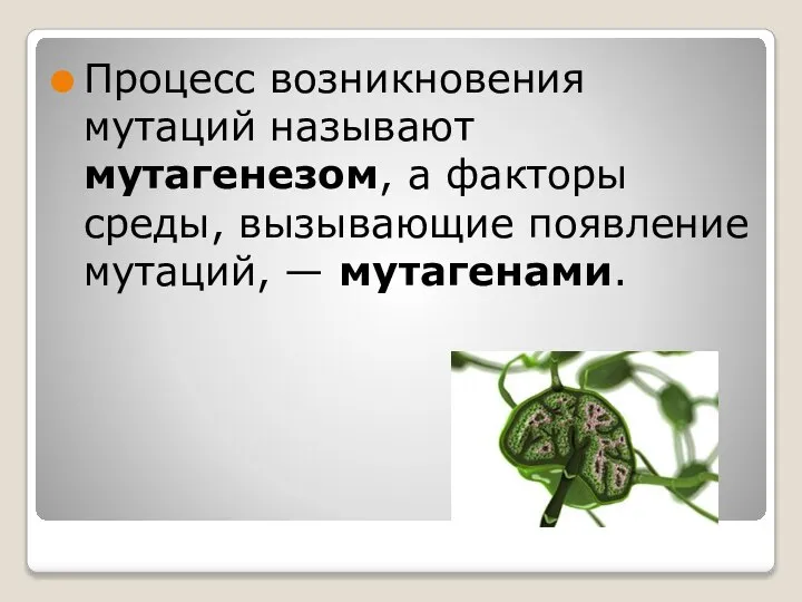 Процесс возникновения мутаций называют мутагенезом, а факторы среды, вызывающие появление мутаций, — мутагенами.