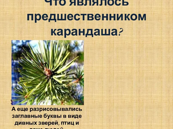 Что являлось предшественником карандаша? Перья — «орудия труда » — ими