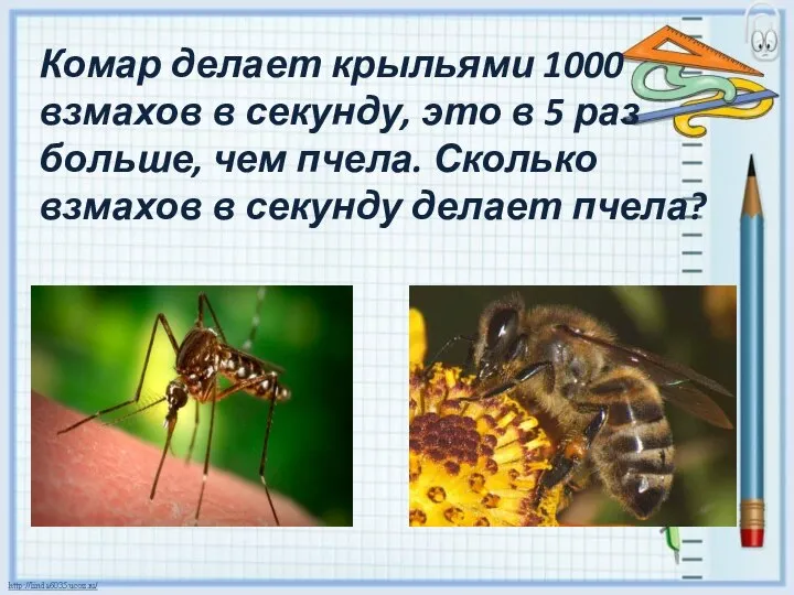 Комар делает крыльями 1000 взмахов в секунду, это в 5 раз