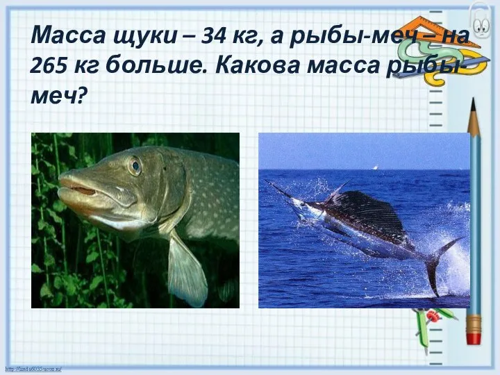 Масса щуки – 34 кг, а рыбы-меч – на 265 кг больше. Какова масса рыбы-меч?