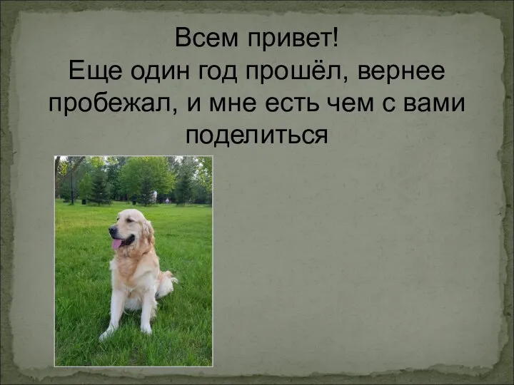 Всем привет! Еще один год прошёл, вернее пробежал, и мне есть чем с вами поделиться