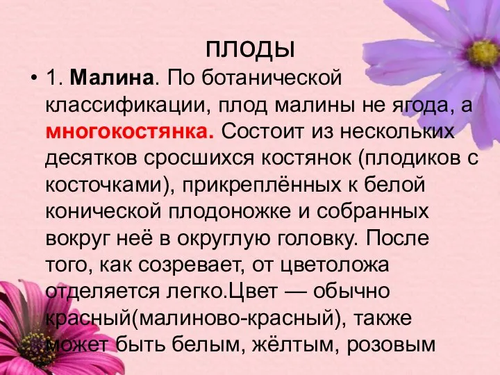 плоды 1. Малина. По ботанической классификации, плод малины не ягода, а