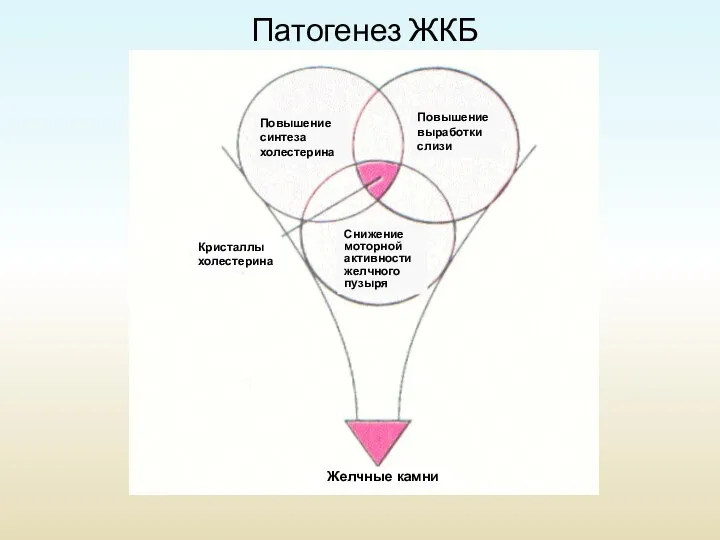 Повышение синтеза холестерина Повышение выработки слизи Снижение моторной активности желчного пузыря