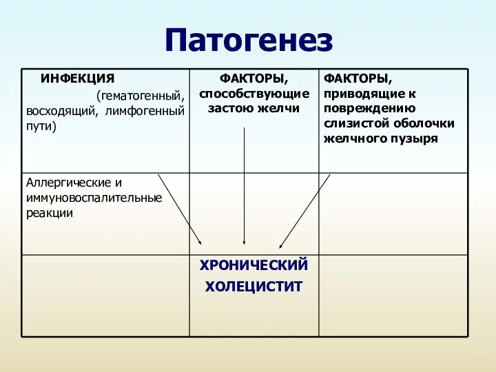 Патогенез