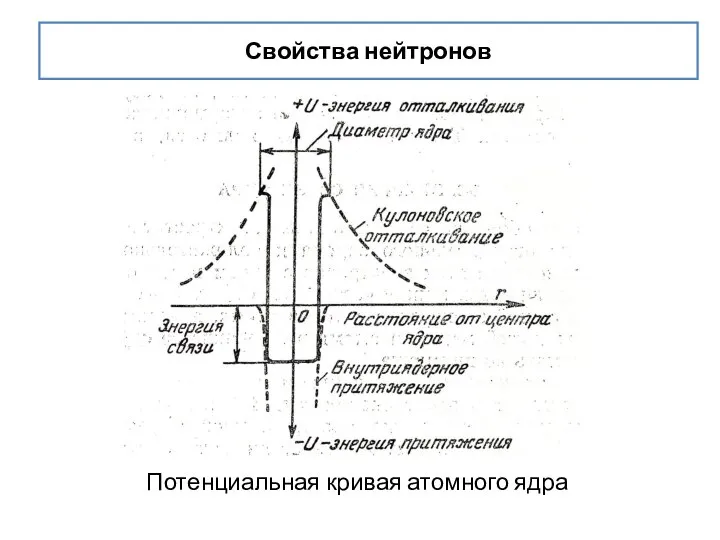 Свойства нейтронов Потенциальная кривая атомного ядра