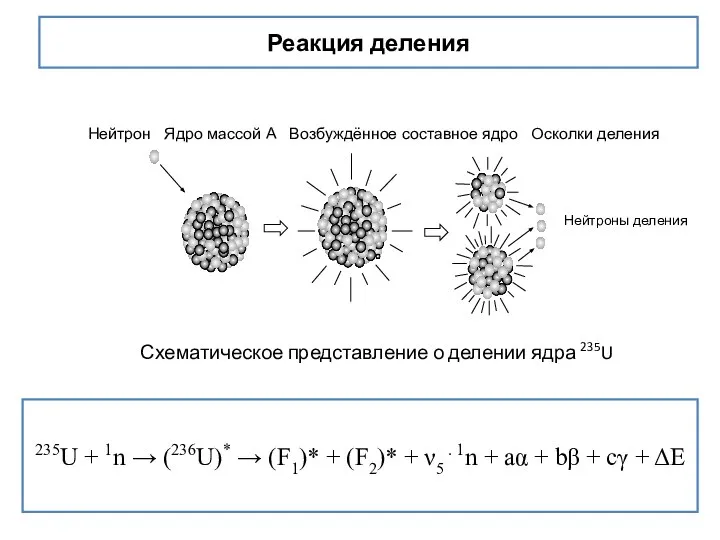 Реакция деления 235U + 1n → (236U)* → (F1)* + (F2)*