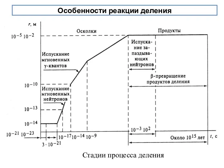 Особенности реакции деления Стадии процесса деления