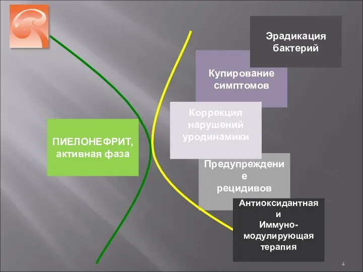 Купирование симптомов Эрадикация бактерий Предупреждение рецидивов ПИЕЛОНЕФРИТ, активная фаза Коррекция нарушений