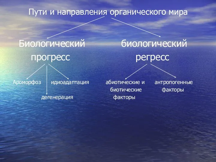 Пути и направления органического мира Биологический биологический прогресс регресс Ароморфоз идиоадаптация