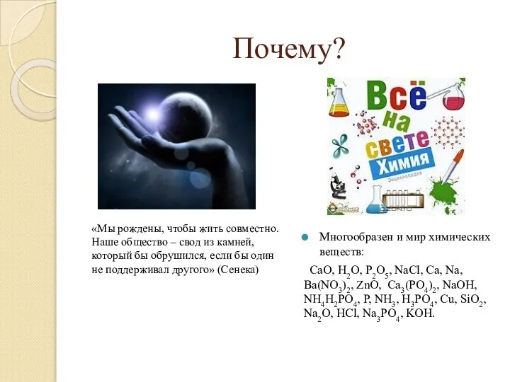 Почему? «Мы рождены, чтобы жить совместно. Наше общество – свод из