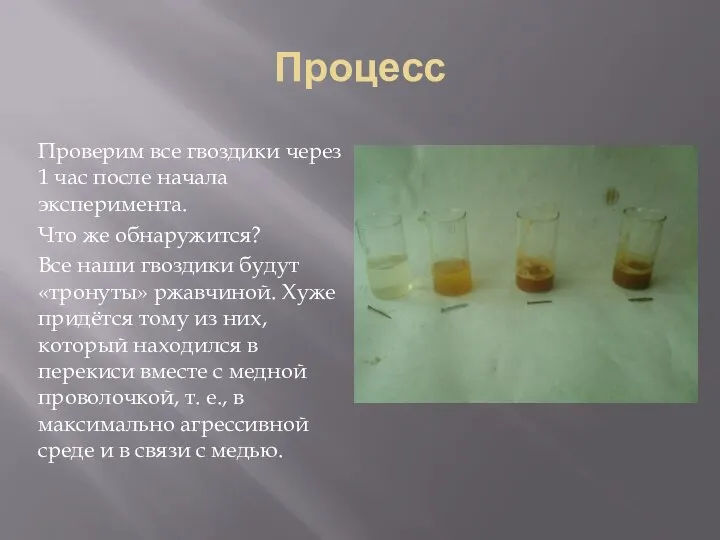 Процесс Проверим все гвоздики через 1 час после начала эксперимента. Что