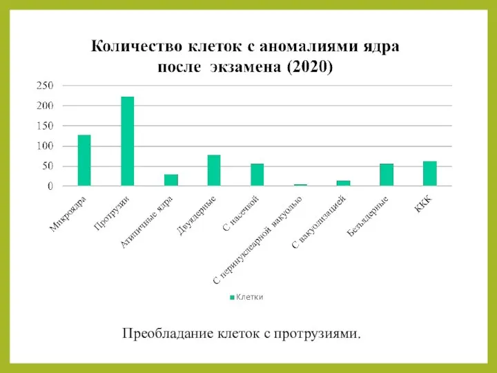 Преобладание клеток с протрузиями.