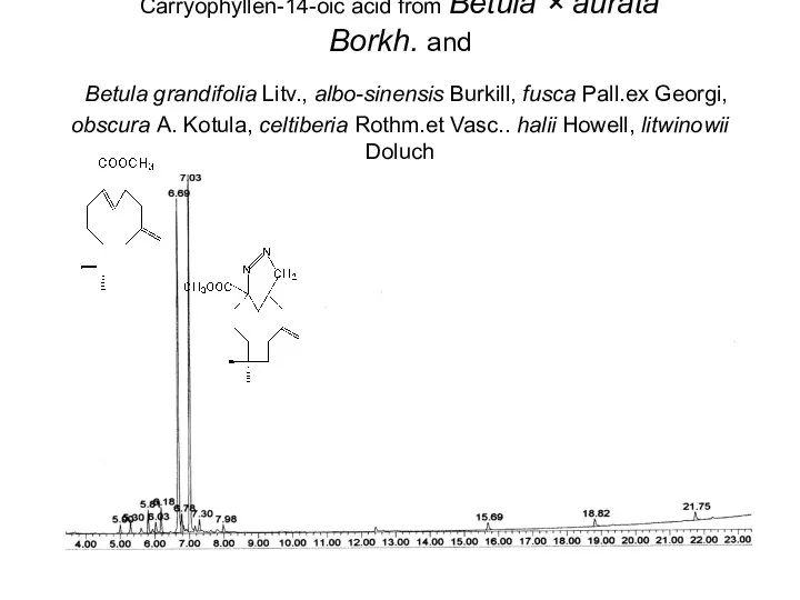 Carryophyllen-14-oic acid from Betula × aurata Borkh. and Betula grandifolia Litv.,