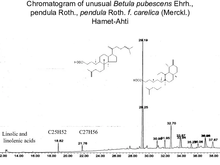 Chromatogram of unusual Betula pubescens Ehrh., pendula Roth., pendula Roth. f.