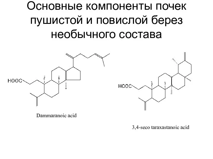 Основные компоненты почек пушистой и повислой берез необычного состава Dammaranoic acid 3,4-seco taraxastanoic acid
