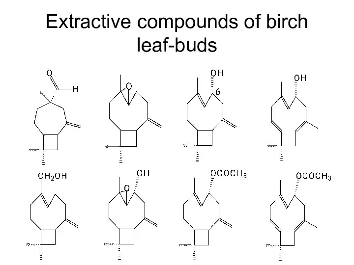 Extractive compounds of birch leaf-buds