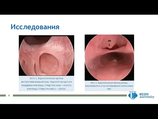 Исследования