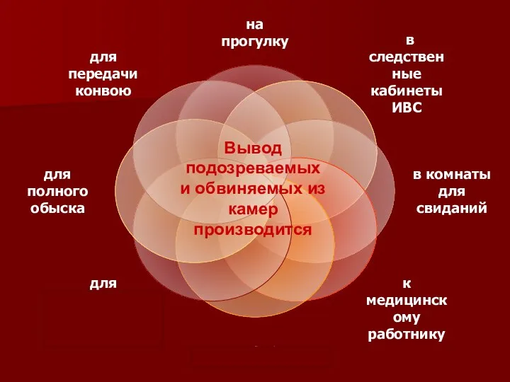 Вывод подозреваемых и обвиняемых из камер производится