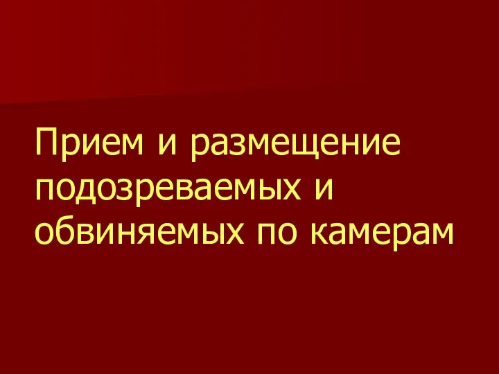 Прием и размещение подозреваемых и обвиняемых по камерам