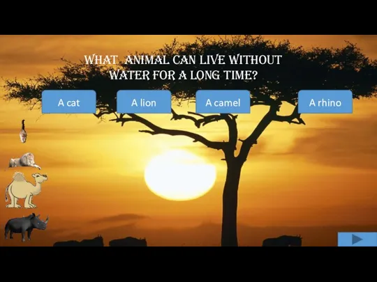 What animal can live without water for a long time? A