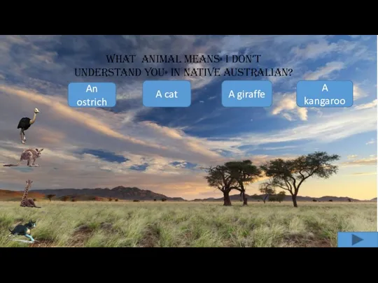 What animal means» I don’t understand you» in native Australian? An