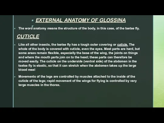 EXTERNAL ANATOMY OF GLOSSINA The word anatomy means the structure of