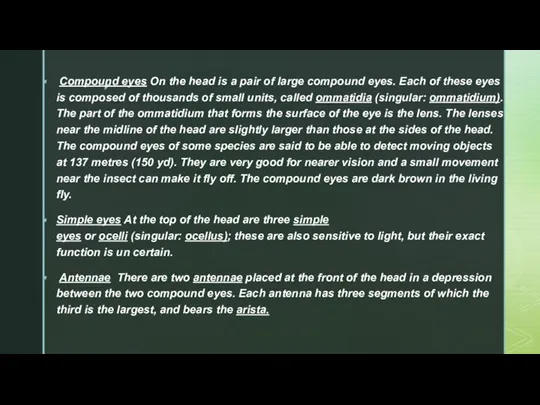 Compound eyes On the head is a pair of large compound