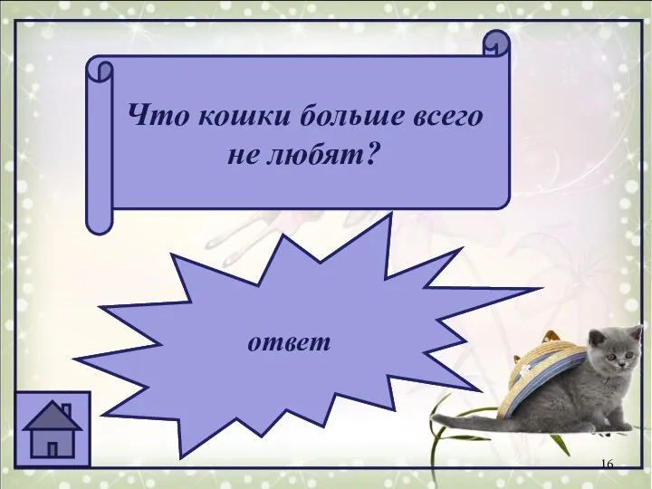 Что кошки больше всего не любят? когда их гладят против шерсти и тянут за хвост ответ