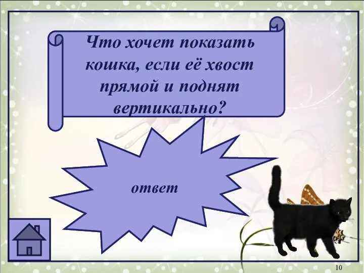 Что хочет показать кошка, если её хвост прямой и поднят вертикально? искреннее приветствие ответ