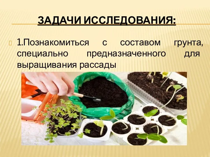 ЗАДАЧИ ИССЛЕДОВАНИЯ: 1.Познакомиться с составом грунта, специально предназначенного для выращивания рассады