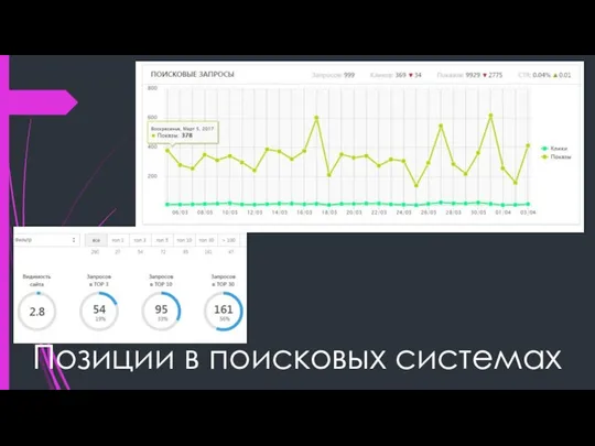 Позиции в поисковых системах