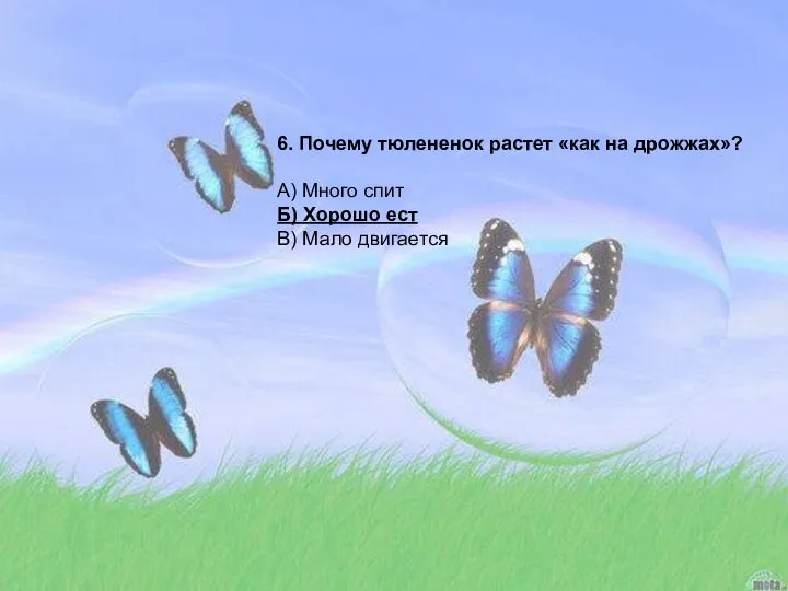 6. Почему тюлененок растет «как на дрожжах»? А) Много спит Б) Хорошо ест В) Мало двигается