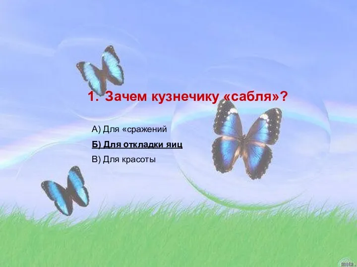 Зачем кузнечику «сабля»? А) Для «сражений Б) Для откладки яиц В) Для красоты