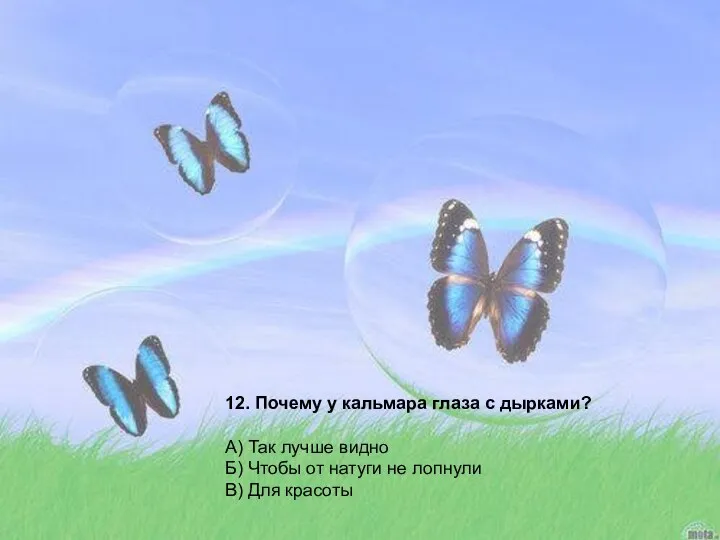 12. Почему у кальмара глаза с дырками? А) Так лучше видно