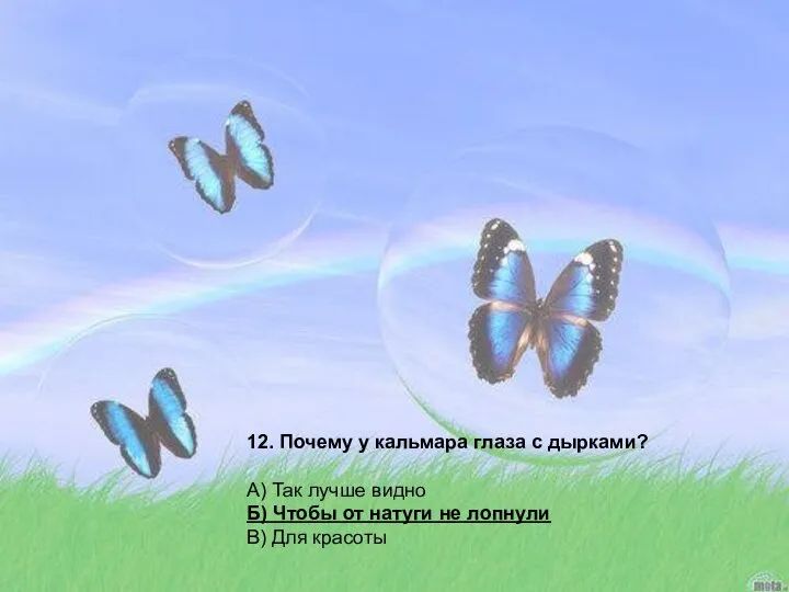 12. Почему у кальмара глаза с дырками? А) Так лучше видно