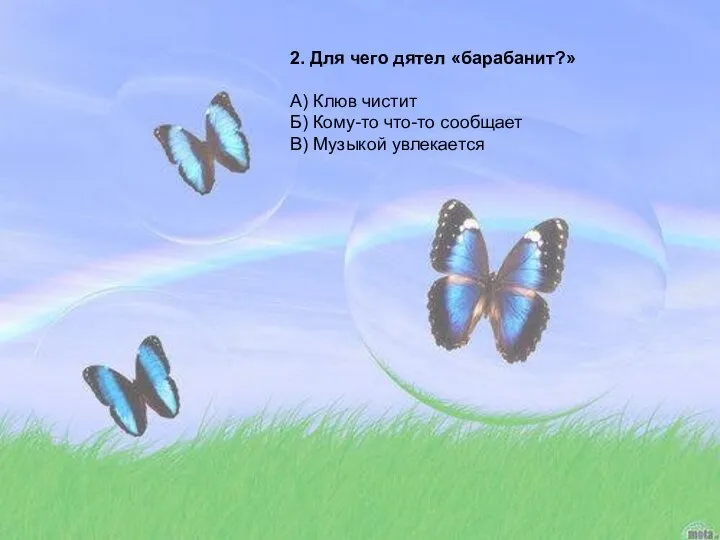 2. Для чего дятел «барабанит?» А) Клюв чистит Б) Кому-то что-то сообщает В) Музыкой увлекается