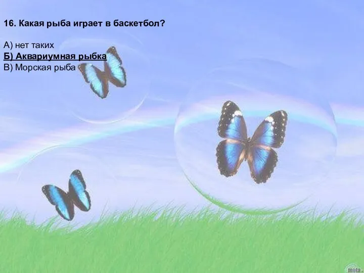 16. Какая рыба играет в баскетбол? А) нет таких Б) Аквариумная рыбка В) Морская рыба