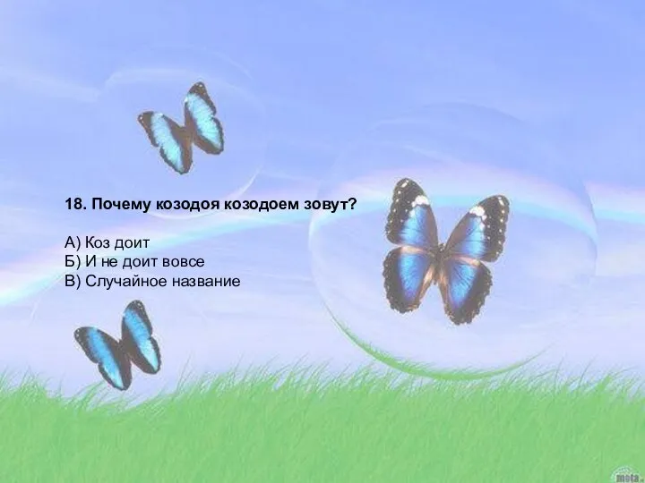 18. Почему козодоя козодоем зовут? А) Коз доит Б) И не доит вовсе В) Случайное название