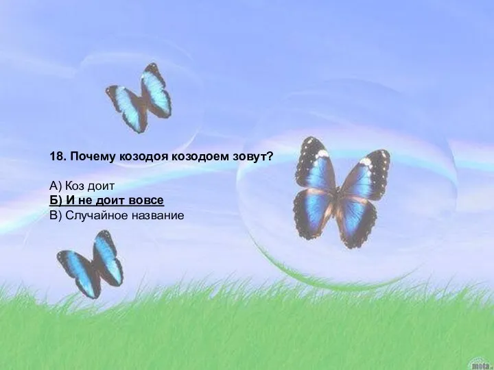 18. Почему козодоя козодоем зовут? А) Коз доит Б) И не доит вовсе В) Случайное название