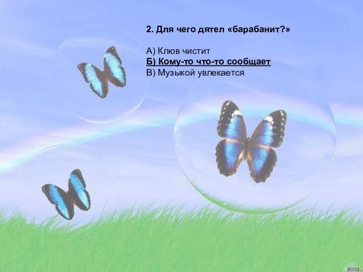 2. Для чего дятел «барабанит?» А) Клюв чистит Б) Кому-то что-то сообщает В) Музыкой увлекается